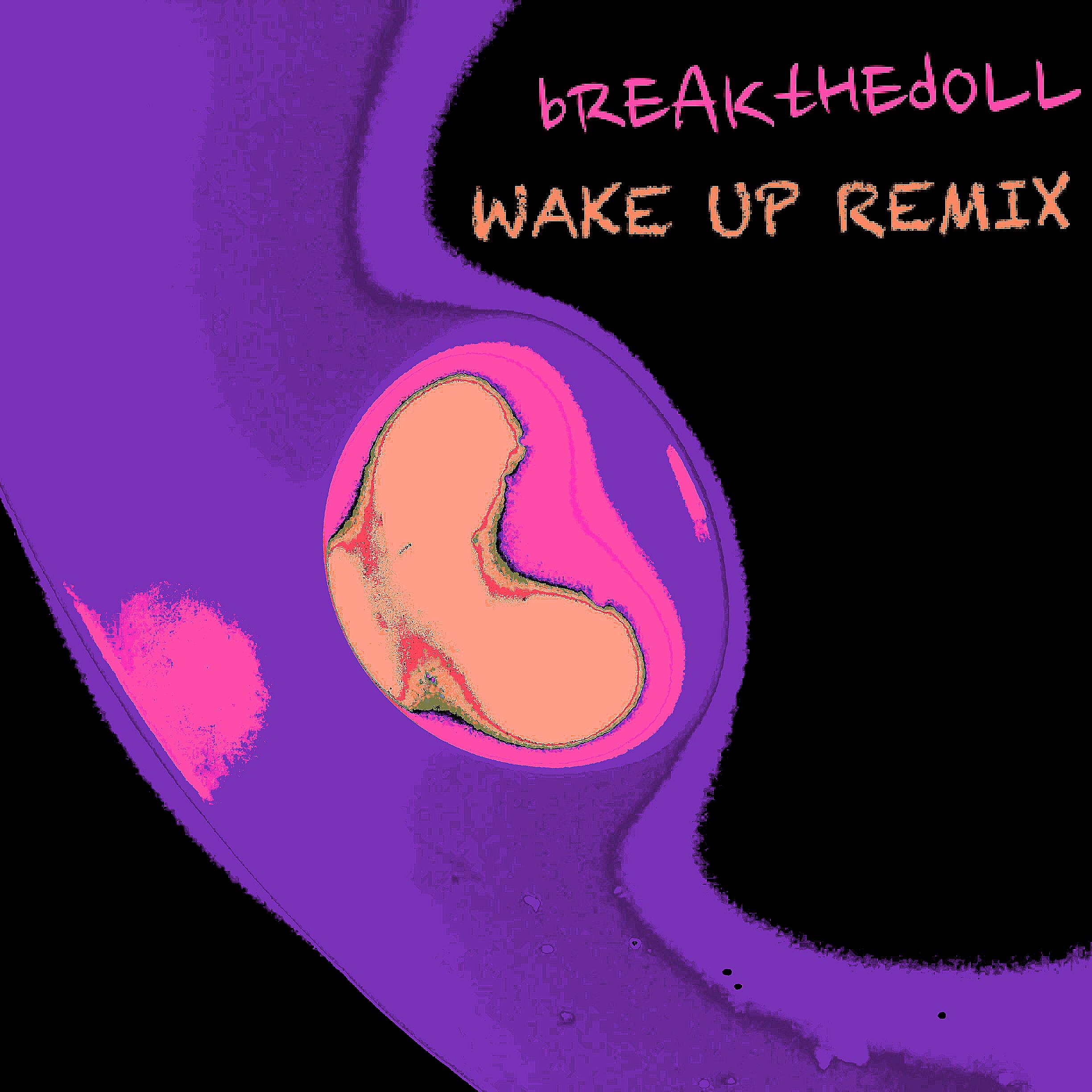 Wake Up Remix专辑