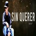 Sin Querer