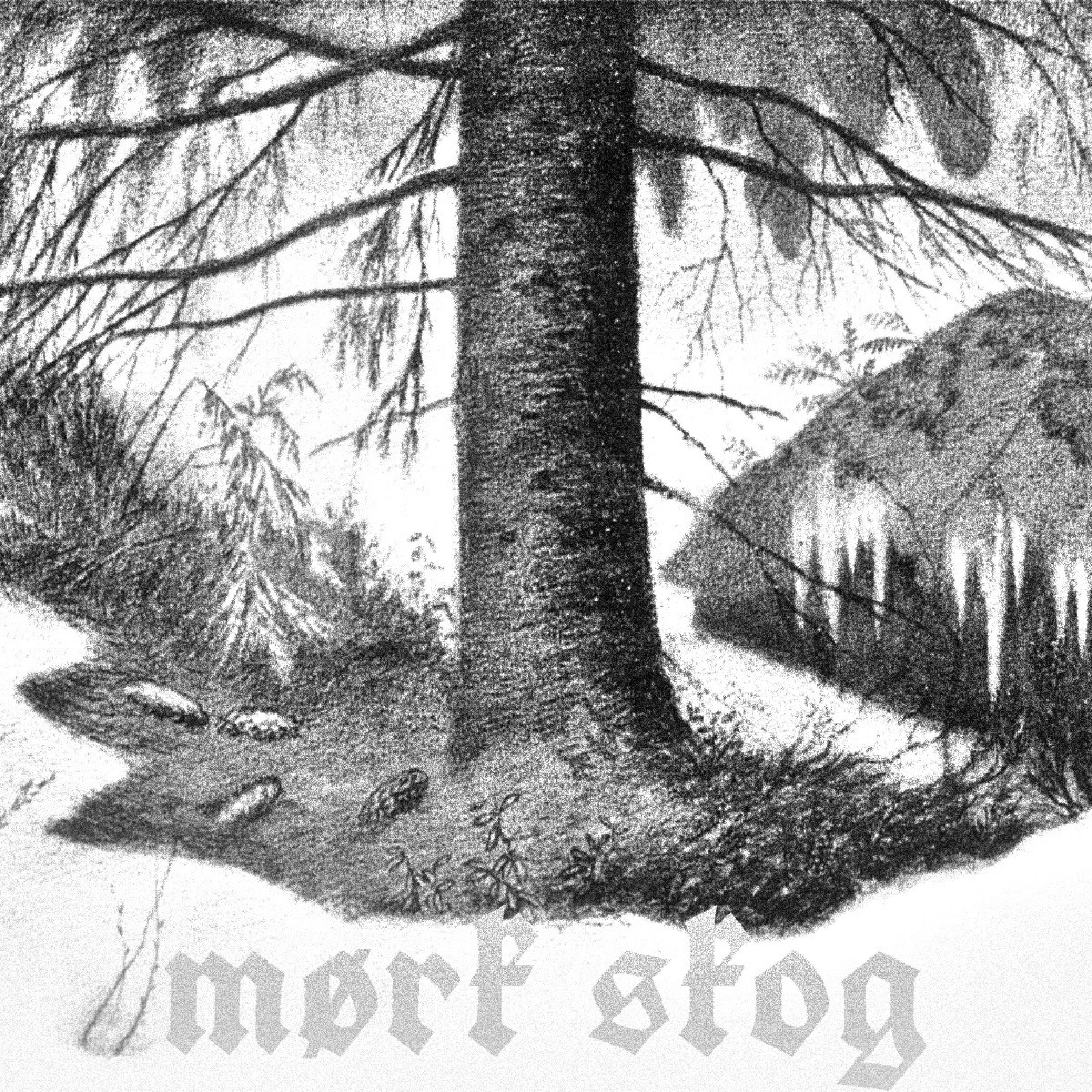 mørk skog