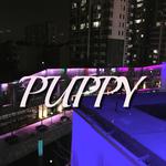 PUPPY专辑