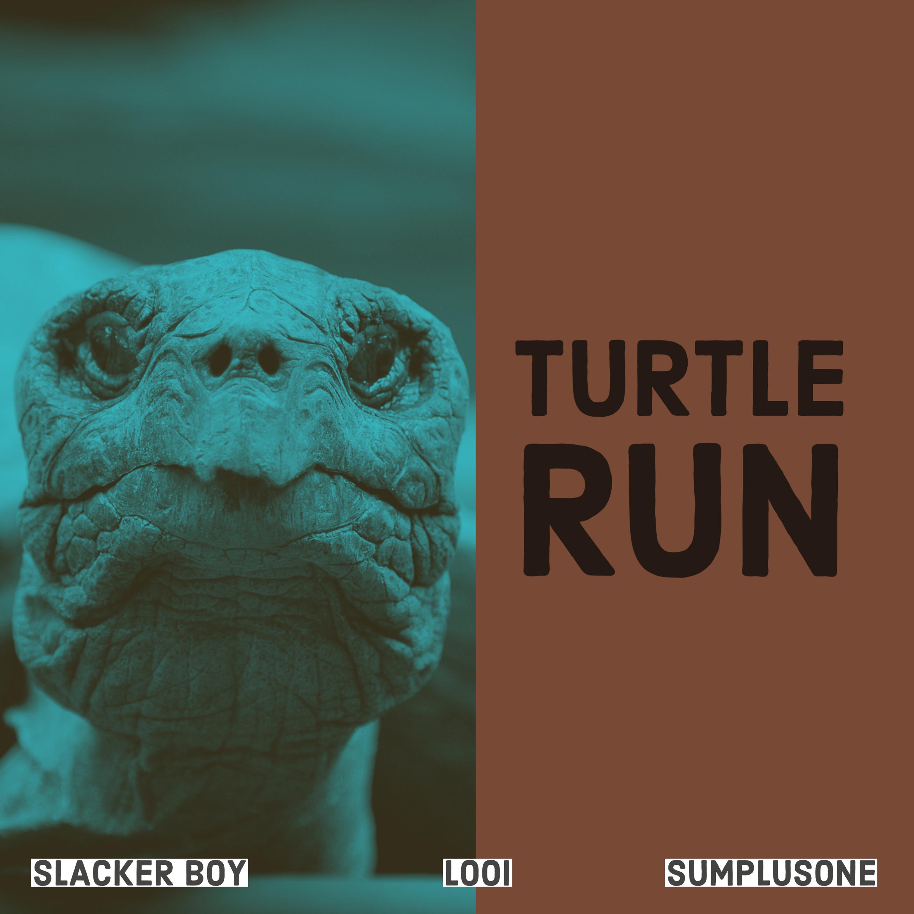 Turtle Run