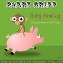 Baby Monkey (Going Backwards On a Pig) - Single专辑