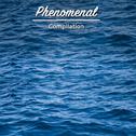 #15 Phenomenal Compilation for Meditation and Yoga专辑