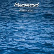 #15 Phenomenal Compilation for Meditation and Yoga