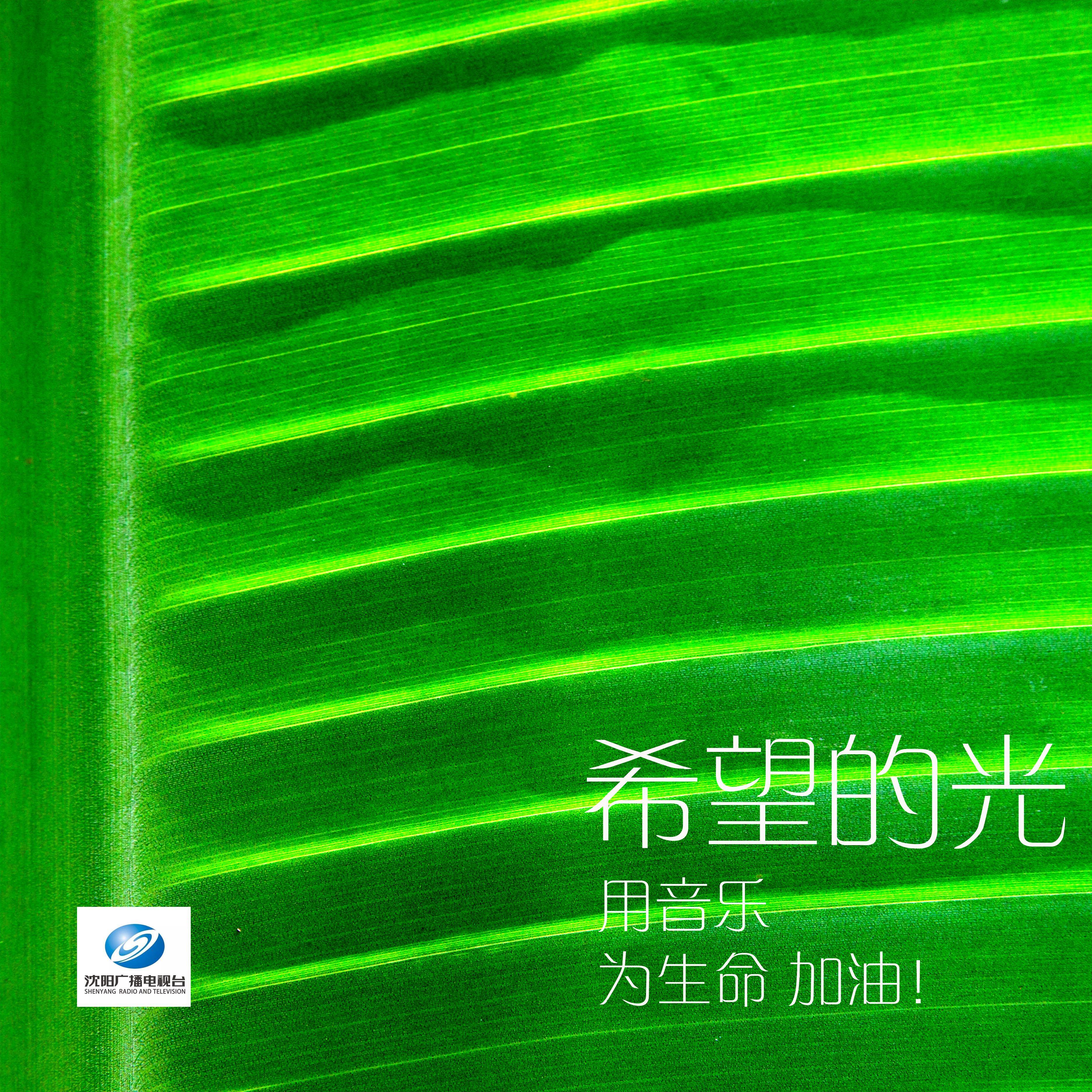 希望的光——用音乐为生命加油