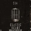 Elastic Heart (Diplo & ETC!ETC! VIP)专辑