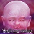 75 Beautiful Sounds For Meditation