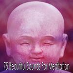 75 Beautiful Sounds For Meditation专辑