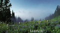 Echoes of Nature: Sampler专辑
