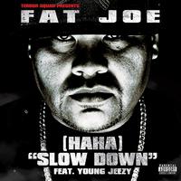 Slow Down - Fat Joe Feat. Young Jeezy ( Instrumental 320kbps高音质 )