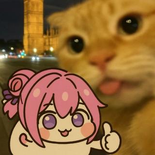 哈基米南北绿豆，这便是哈的皇朝（精选）