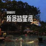 所念皆星河专辑