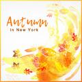 Autumn in New York