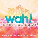High Energy Dance & Instrumental Mixes Vol. 1专辑