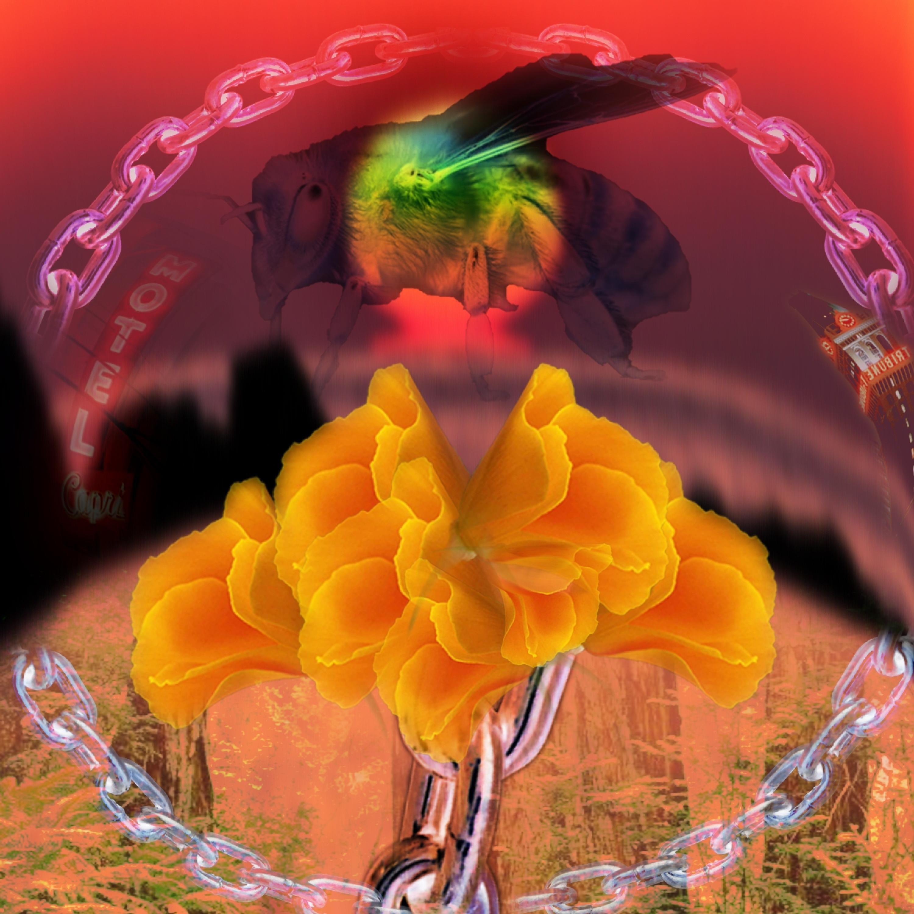 Meet Me In California (feat. Burd Hauz & Stari)