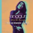 What We Remember (THE US REMIXES PART II)