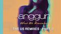 What We Remember (THE US REMIXES PART II)专辑