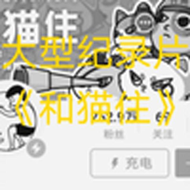 大型纪录片《和猫住》