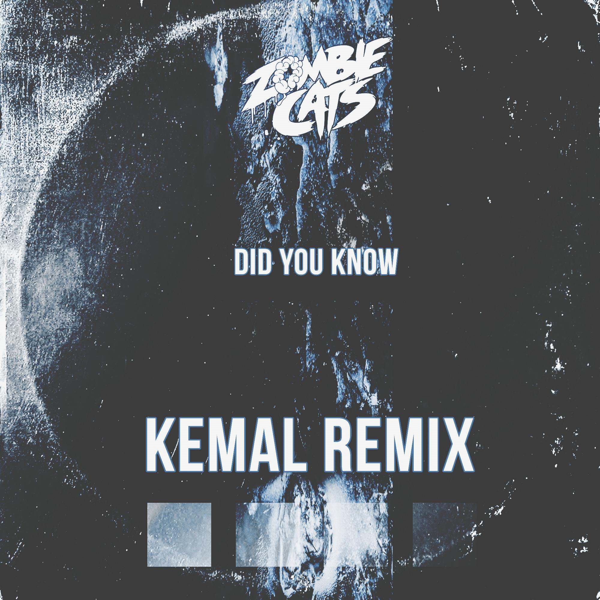 Did You Know (Kemal Remix)