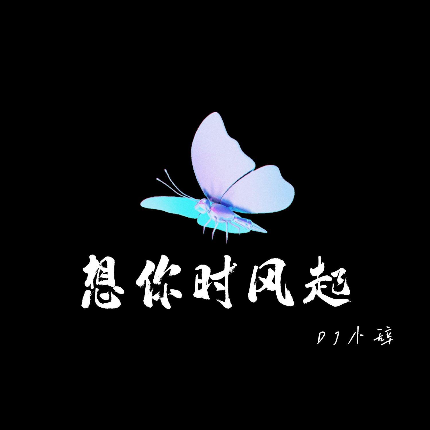 想你时风起