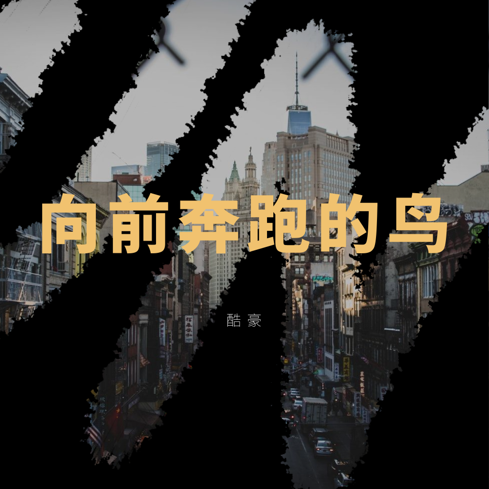 向前奔跑的鸟专辑