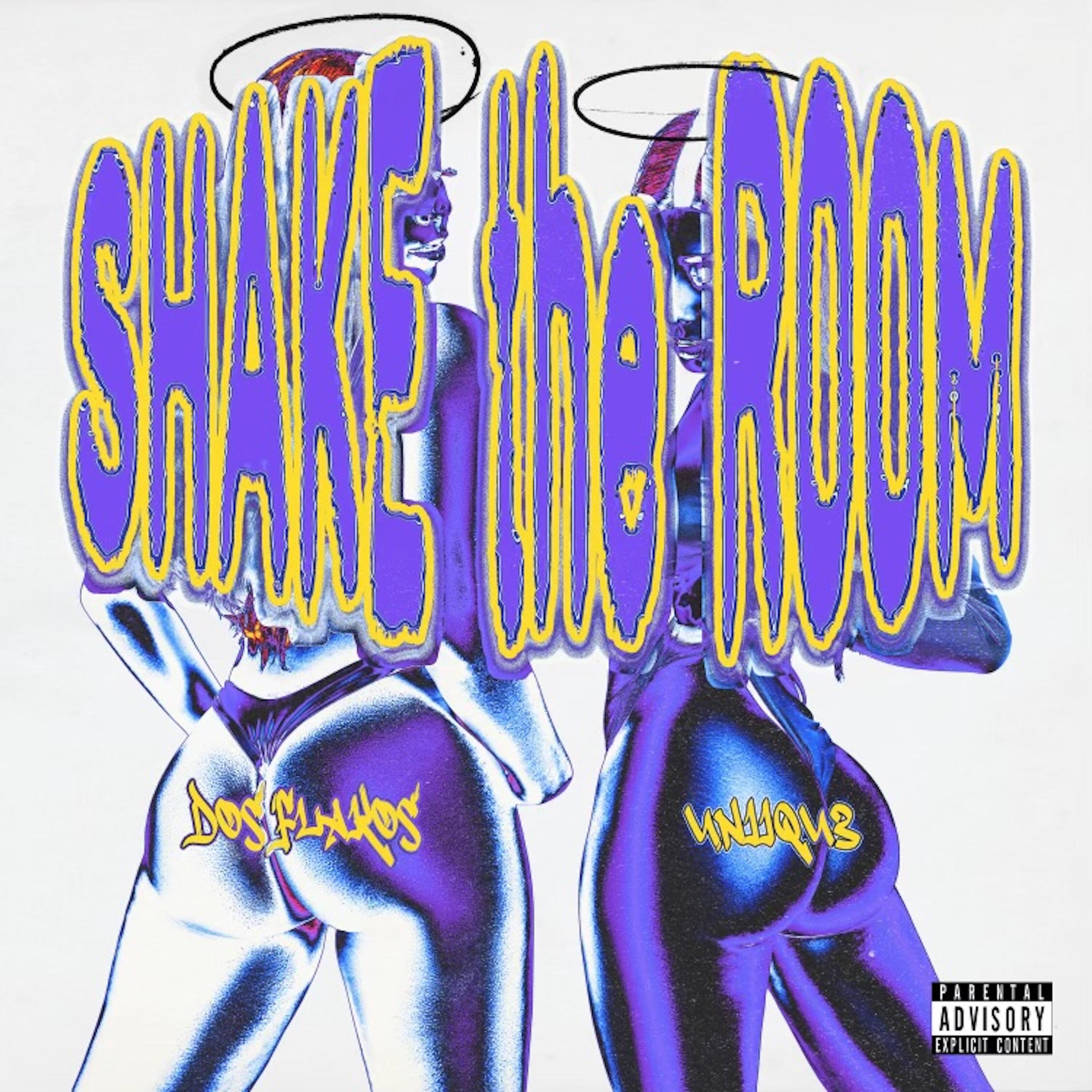 Uniiqu3 - Shake The Room