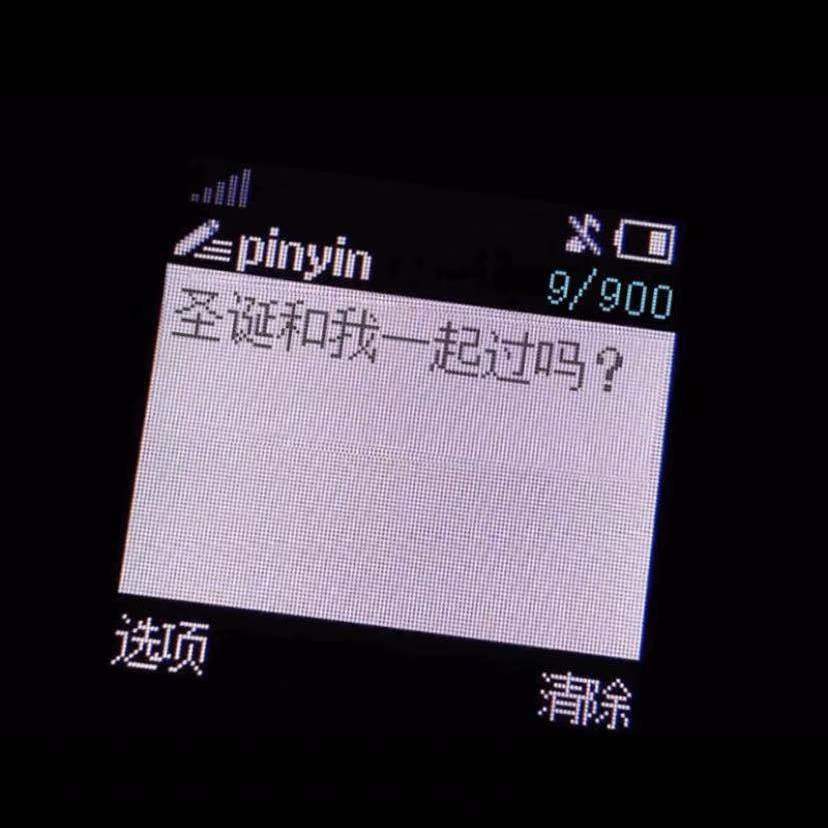 圣诞节钓鱼执法