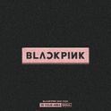 BLACKPINK 2018 TOUR 'IN YOUR AREA' SEOUL (Live)专辑