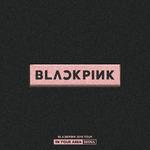 BLACKPINK 2018 TOUR 'IN YOUR AREA' SEOUL (Live)专辑
