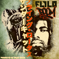 FlyloDOOM