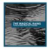 Rain Designer Nature Music Studio - Wet Moderate Rain