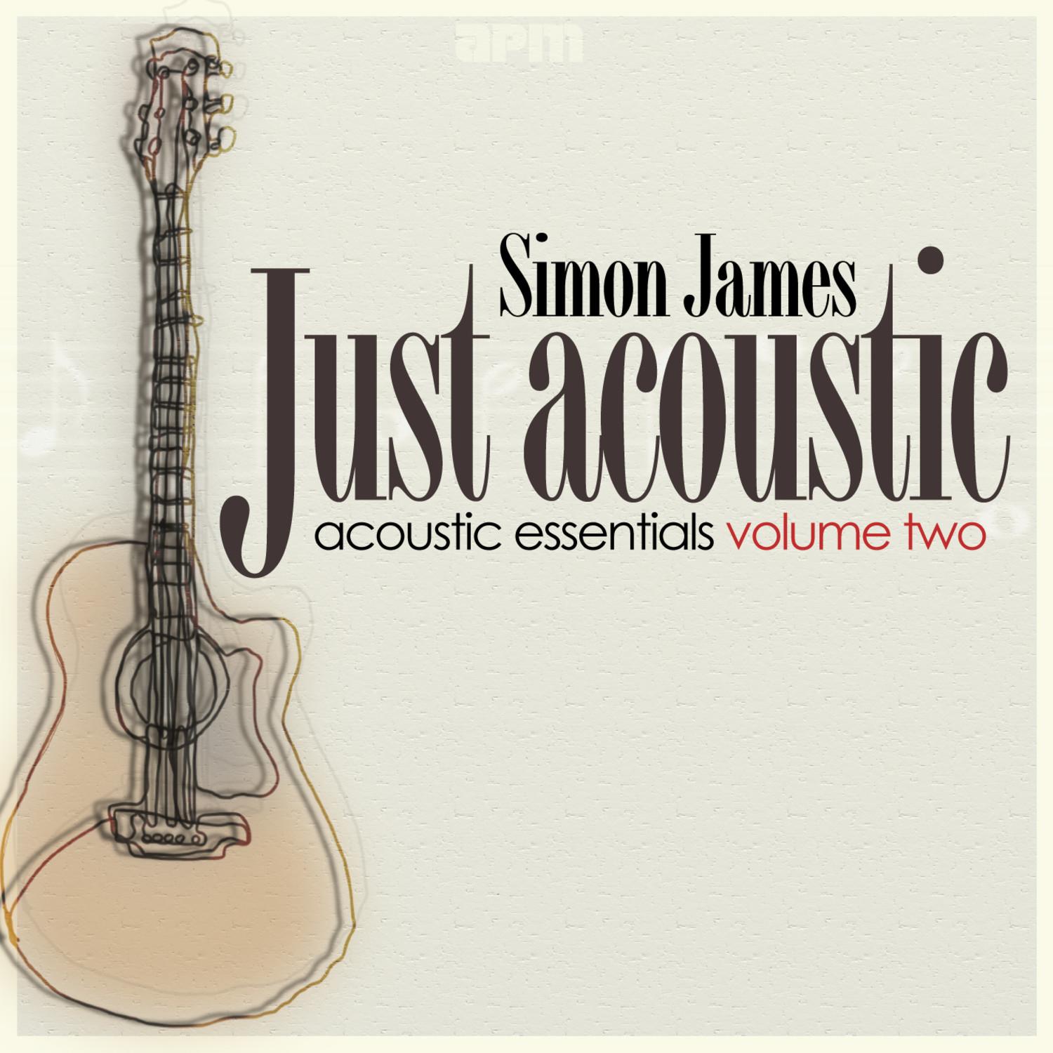 Just Acoustic - Acoustic Essentials Vol 2