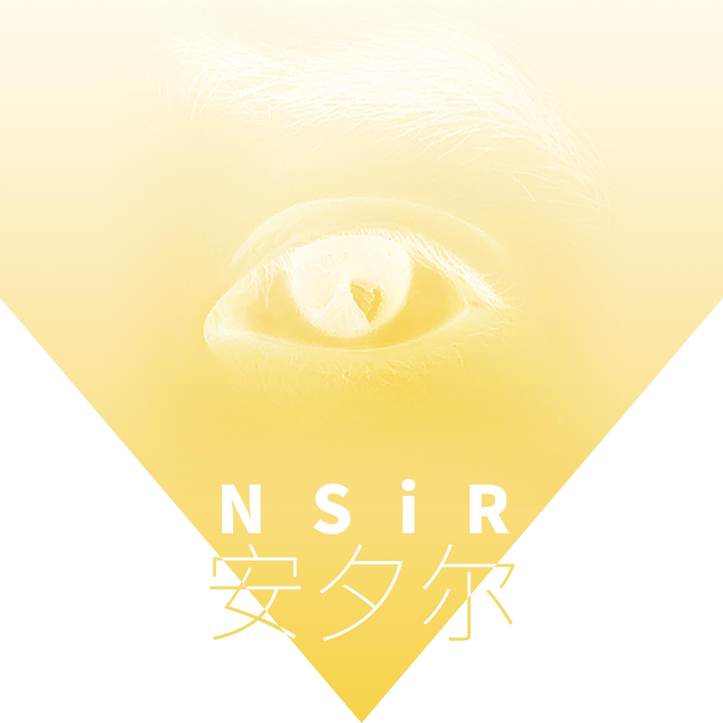 NSiR