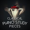 Classical Piano Study Pieces专辑