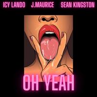 Icy Lando Feat. Sean Kingston - Options (Dirty) 100