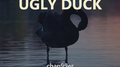 Ugly Duck专辑