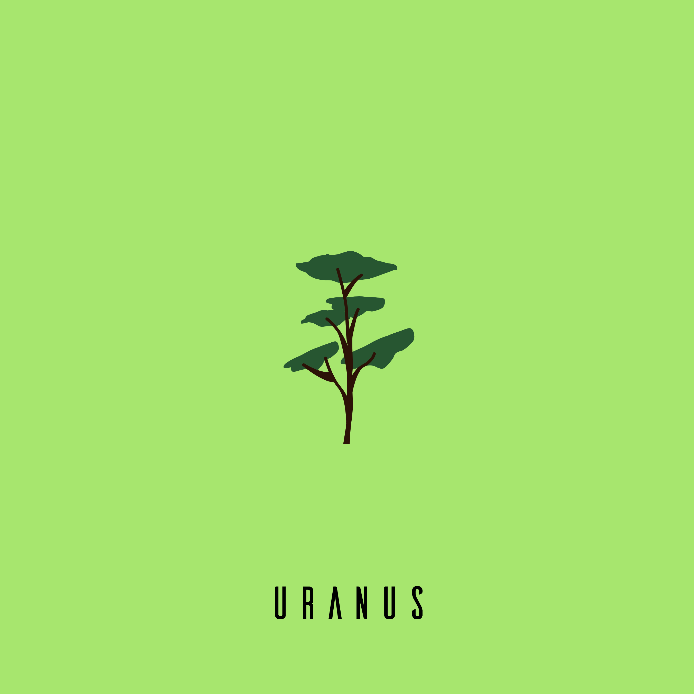 【Free】‘Tree’