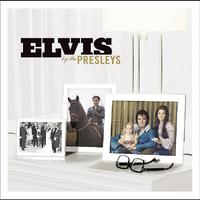 Elvis Presley - Bridge Over Troubled Water (karaoke)
