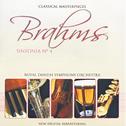 Brahms: Sinfonía Nº 4 En Mi Menor Opus 98专辑