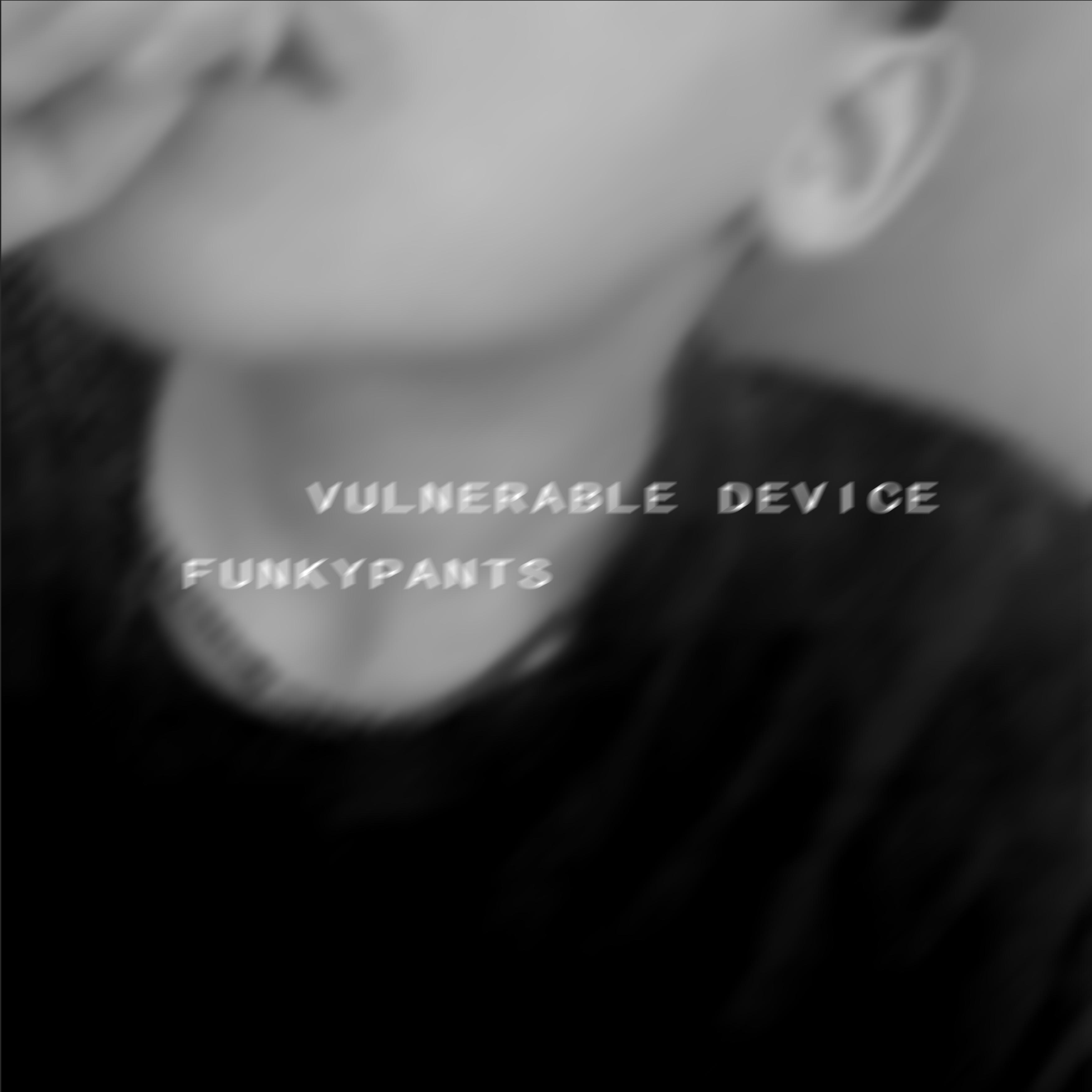 易碎装置（Vulnerable Device）专辑