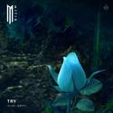 MitiS - Try(ENIX Remix)