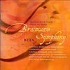 Brainwave Symphony: Theta专辑