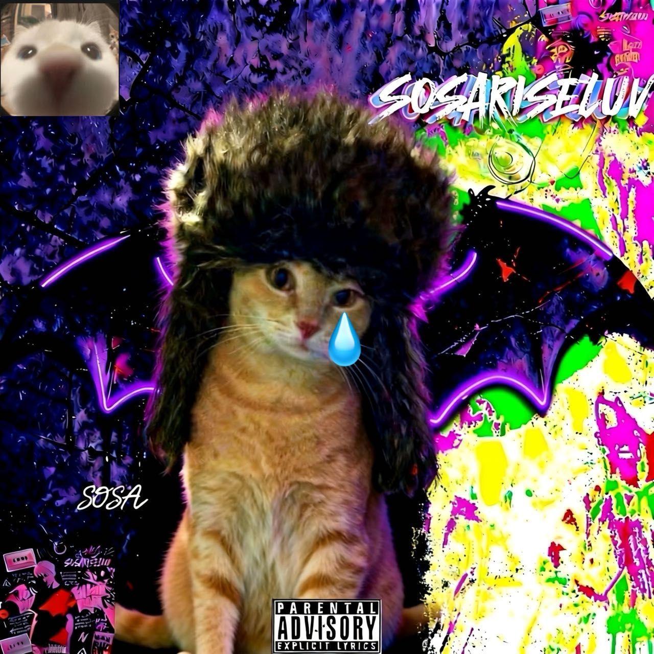 再也不会流眼泪