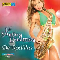 Dyango - De Rodillas Te Pido (karaoke)