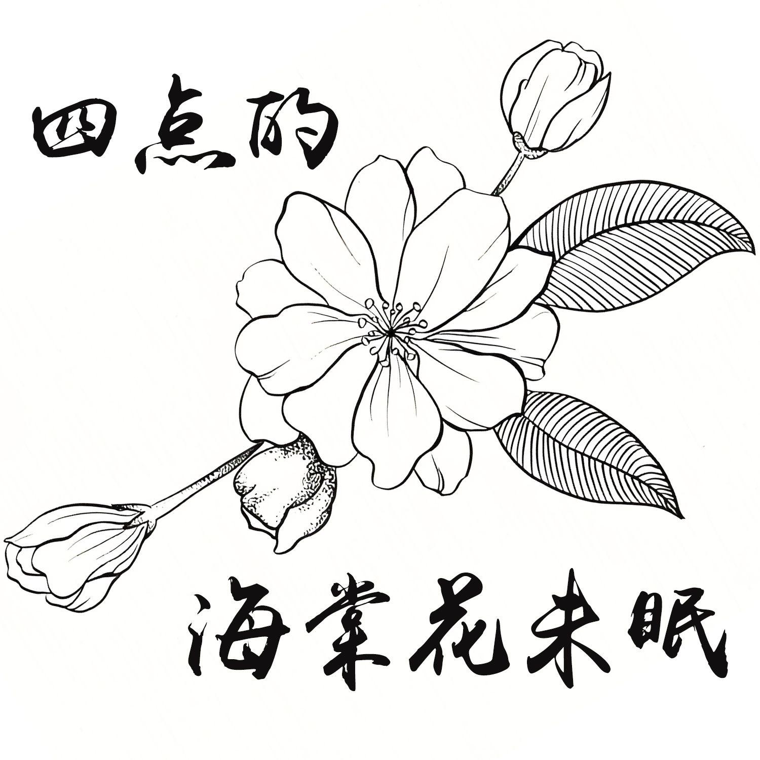 四点的海棠花未眠