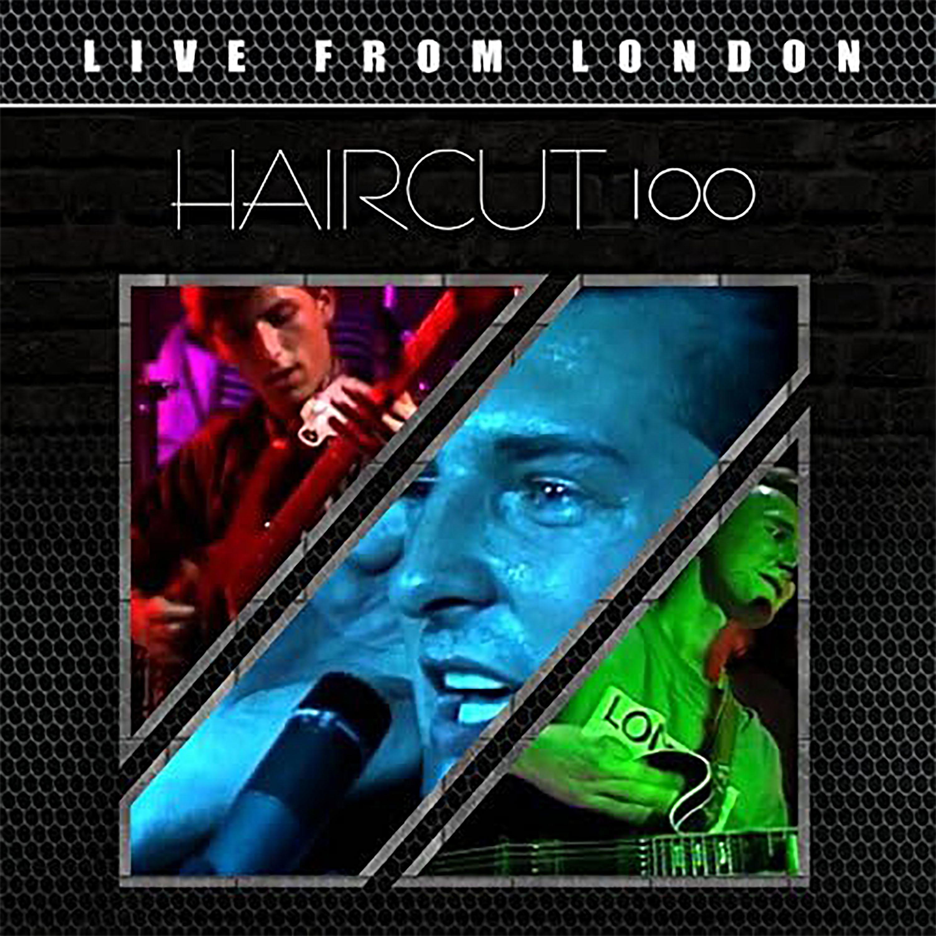 Haircut 100 - Fish In A Bowl (Live)