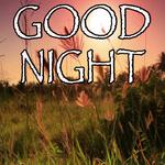 Good Night - Tribute to Billy Currington and Jessie James Decker专辑