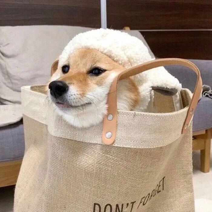 姜云升-浪漫主义伴奏