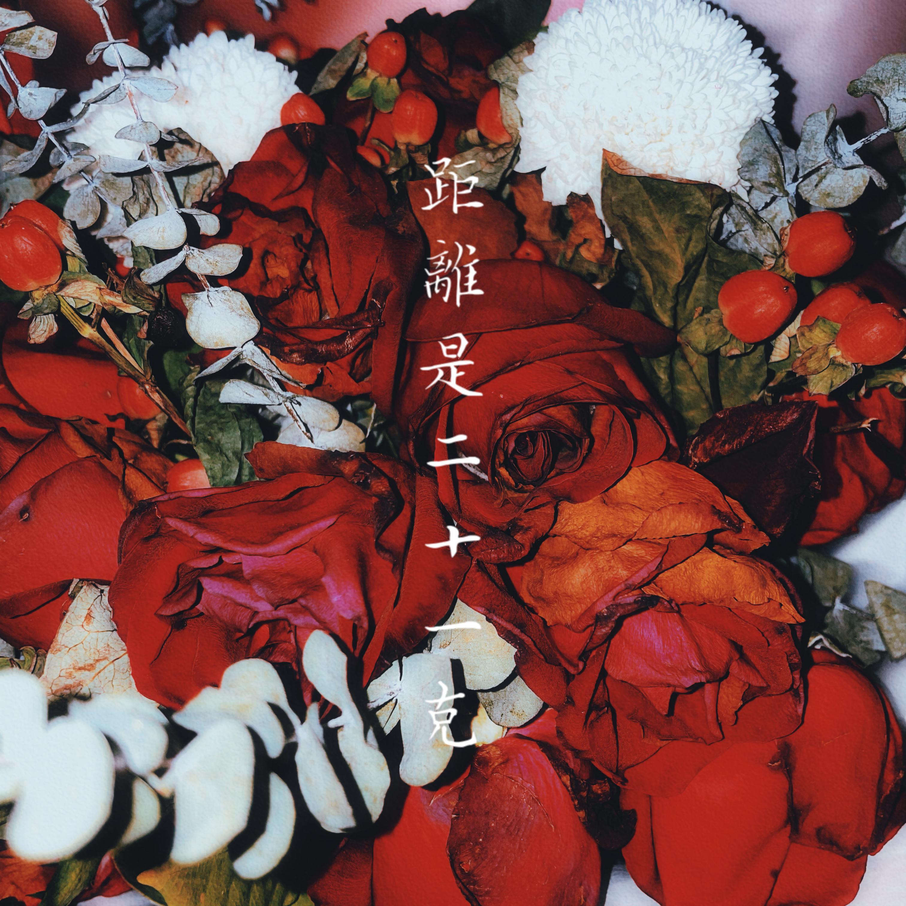 距离是二十一克
