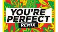 You're Perfect (Remix)专辑